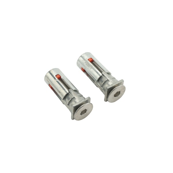 (2 pieces) cover plugs for old fixing