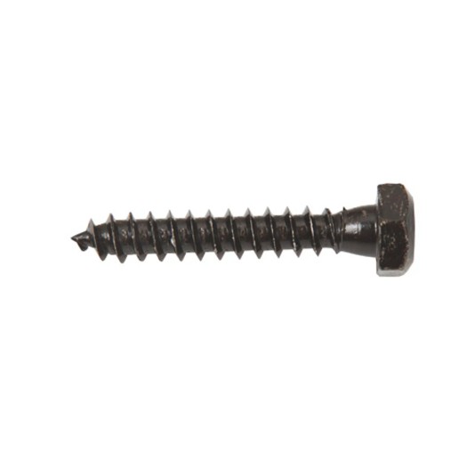 Nationwide 5/16" x 2" Zinc-Plated Lag Screw | Powder-Coated Black - NW5162