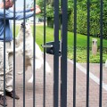 Adjustable security keep out of stainless steel for round profiles, stop plate in RAL 6009 - Mushroom axe